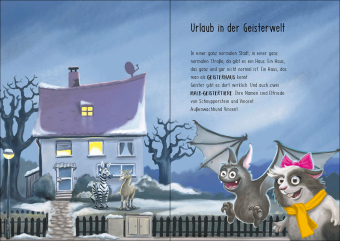 Vincent jagt das Phantom (Band 5)