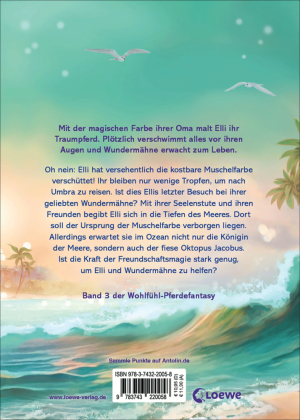 Wundermähne (Band 3) - Der Ruf der Freundschaft