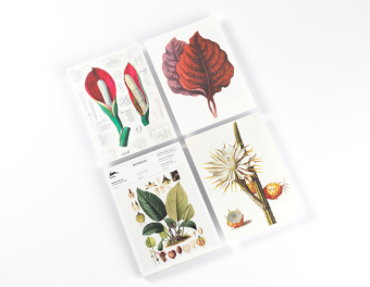 Botanical (new edition)
