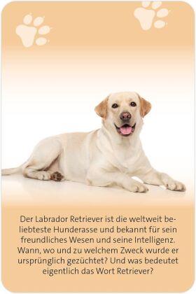 Das große Hunde Quiz