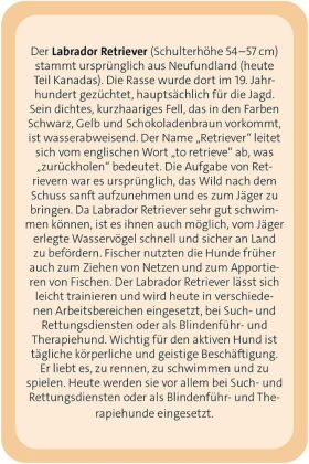 Das große Hunde Quiz