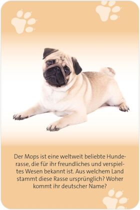 Das große Hunde Quiz