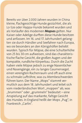 Das große Hunde Quiz