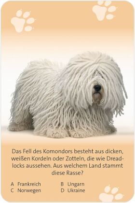 Das große Hunde Quiz
