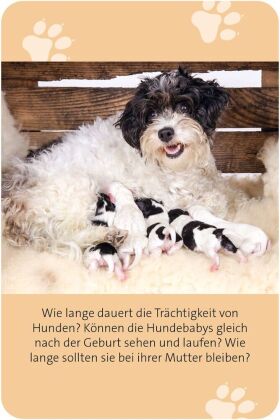 Das große Hunde Quiz