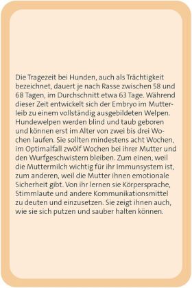 Das große Hunde Quiz