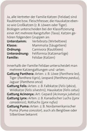 Das große Katzen Quiz