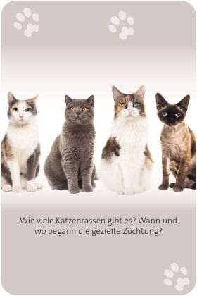 Das große Katzen Quiz