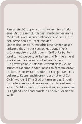 Das große Katzen Quiz