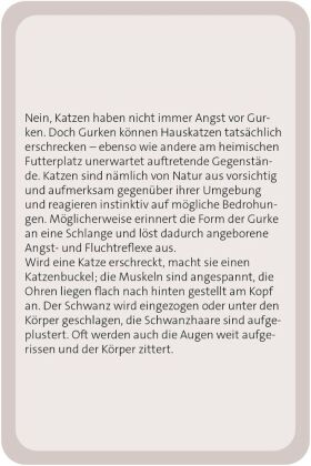 Das große Katzen Quiz