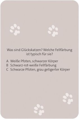 Das große Katzen Quiz