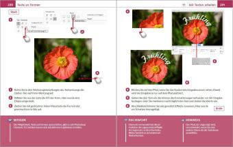 Photoshop Elements 2026 - Bild für Bild erklärt