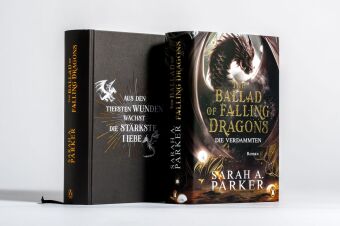 The Ballad of Falling Dragons