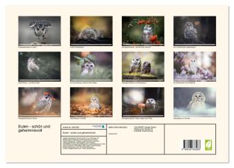 Eulen - schön und geheimnisvoll (hochwertiger Premium Wandkalender 2026 DIN A2 quer), Kunstdruck in Hochglanz