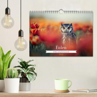 Eulen - schön und geheimnisvoll (Wandkalender 2026 DIN A4 quer), CALVENDO Monatskalender