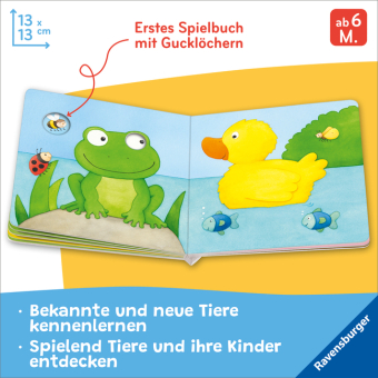Mein Gucklochbuch: Viele Tiere