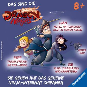 Dragon Ninjas, Band 5 - Der Drache der Schatten