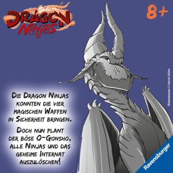Dragon Ninjas, Band 5 - Der Drache der Schatten