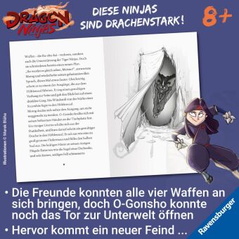 Dragon Ninjas, Band 5 - Der Drache der Schatten
