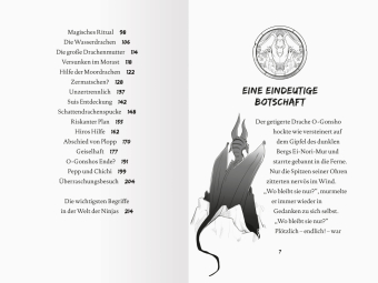 Dragon Ninjas, Band 6 - Der Drache des Wassers
