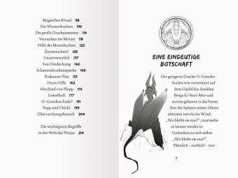 Dragon Ninjas, Band 6 - Der Drache des Wassers