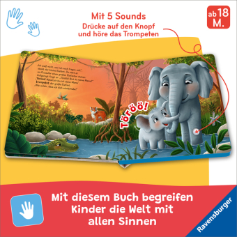 Hör mal hin - Törööö! Bist du meine Mama?