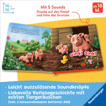 Hör mal hin - Piep! Piep! Bist du mein Papa?