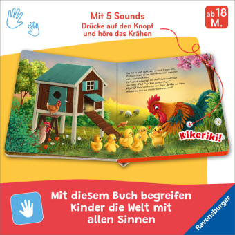 Hör mal hin - Piep! Piep! Bist du mein Papa?