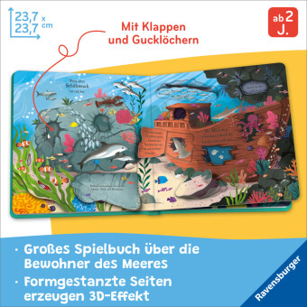 Auf Entdeckungstour: Im Meer 