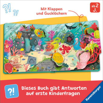 Auf Entdeckungstour: Im Meer 
