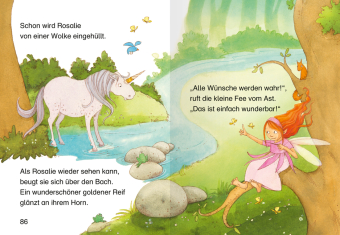 Leserabe Sonderausgaben - Feenabenteuer zum Lesenlernen 