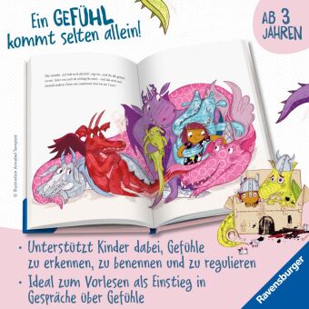 Ella und das Drachenchaos