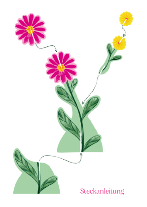3D-Blumen - Blumen für dich! 