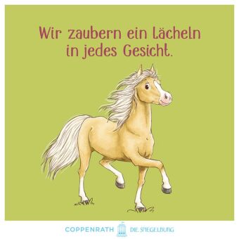 Ponyhof Brombeerwald (Erstlesebuch, 