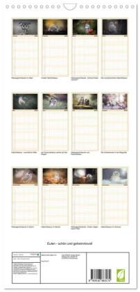 Familienplaner 2026 - Eulen - schön und geheimnisvoll mit 5 Spalten (Wandkalender, 21 x 45 cm) CALVENDO