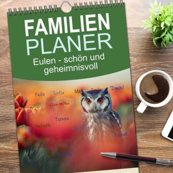 Familienplaner 2026 - Eulen - schön und geheimnisvoll mit 5 Spalten (Wandkalender, 21 x 45 cm) CALVENDO