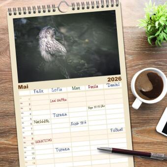 Familienplaner 2026 - Eulen - schön und geheimnisvoll mit 5 Spalten (Wandkalender, 21 x 45 cm) CALVENDO