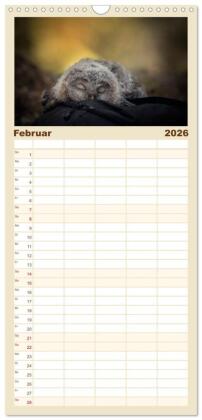 Familienplaner 2026 - Eulen - schön und geheimnisvoll mit 5 Spalten (Wandkalender, 21 x 45 cm) CALVENDO