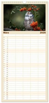 Familienplaner 2026 - Eulen - schön und geheimnisvoll mit 5 Spalten (Wandkalender, 21 x 45 cm) CALVENDO