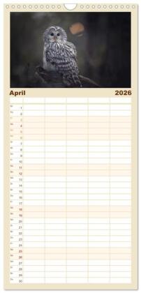 Familienplaner 2026 - Eulen - schön und geheimnisvoll mit 5 Spalten (Wandkalender, 21 x 45 cm) CALVENDO