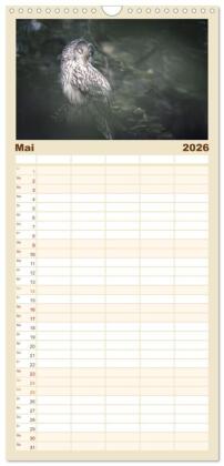 Familienplaner 2026 - Eulen - schön und geheimnisvoll mit 5 Spalten (Wandkalender, 21 x 45 cm) CALVENDO
