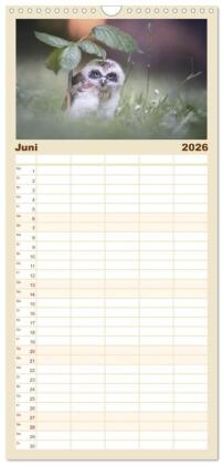 Familienplaner 2026 - Eulen - schön und geheimnisvoll mit 5 Spalten (Wandkalender, 21 x 45 cm) CALVENDO