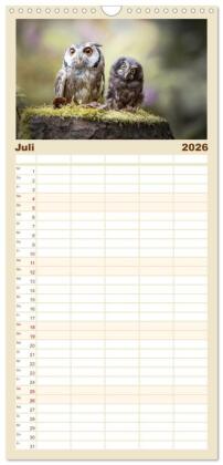 Familienplaner 2026 - Eulen - schön und geheimnisvoll mit 5 Spalten (Wandkalender, 21 x 45 cm) CALVENDO