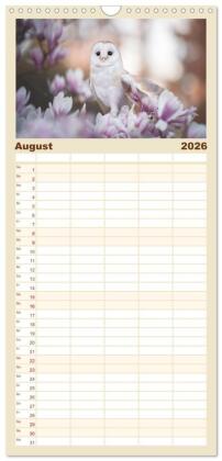 Familienplaner 2026 - Eulen - schön und geheimnisvoll mit 5 Spalten (Wandkalender, 21 x 45 cm) CALVENDO