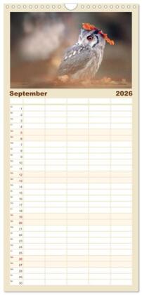 Familienplaner 2026 - Eulen - schön und geheimnisvoll mit 5 Spalten (Wandkalender, 21 x 45 cm) CALVENDO