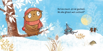 Die kleine Eule im Schnee