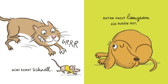 Mimi ist klein, Anton ist groß