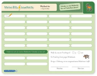 Meine Blitzlesekarten Set 3 zur Leseförderung (3 Lerntafeln mit Stift)