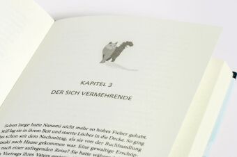 Die Katze, die unsere Bücher rettete