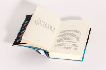 Wenn die Kraniche nach Süden ziehen 